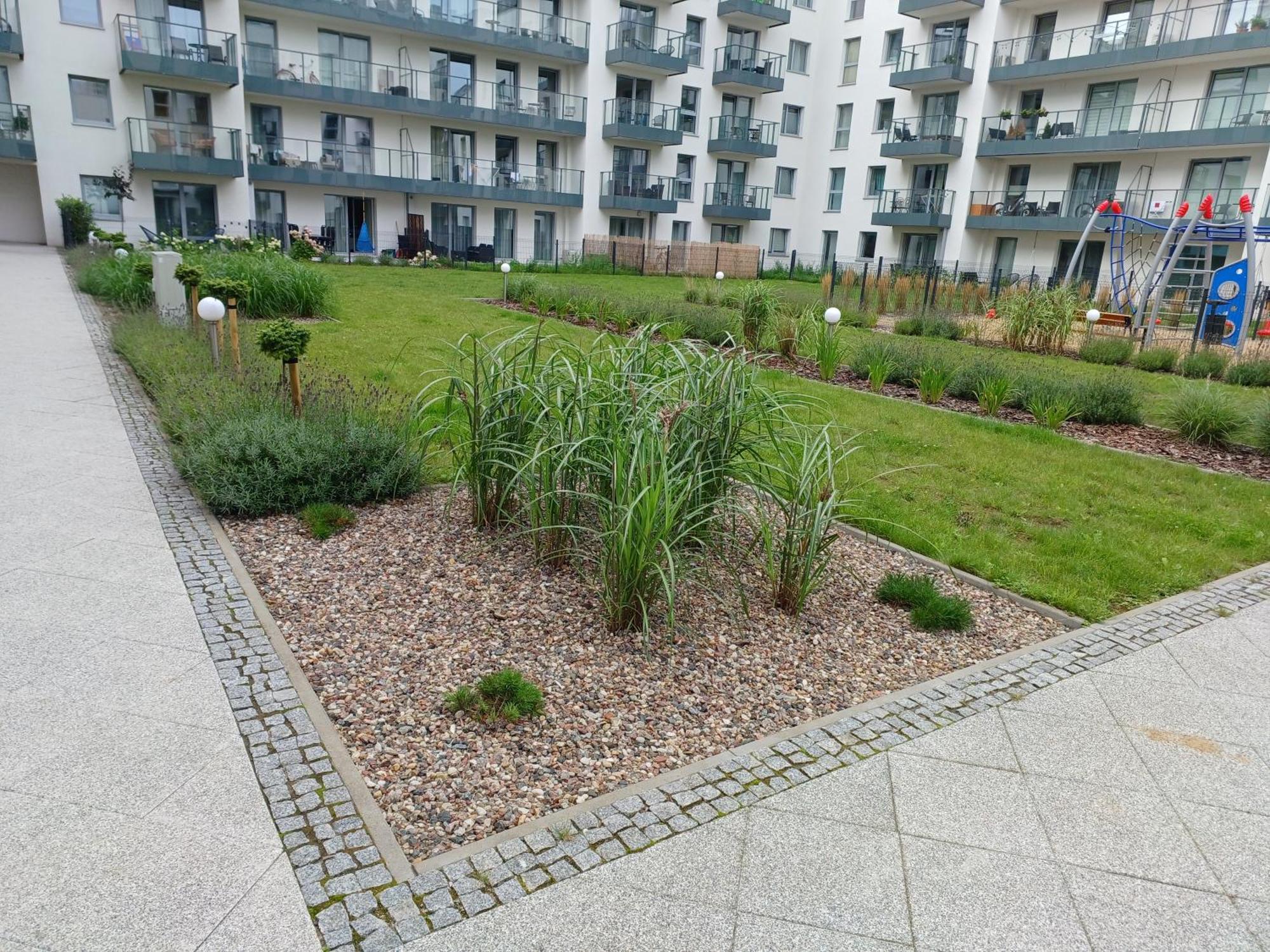 Mak Apartment Grobla - Free Parking - 3 Rooms Gdańsk Exteriör bild